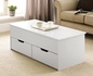 MESA CENTRO CON CUBIERTA ELEVABLE CON 2 CAJONES INFERIORES COLOR GRIS                            1.15*0.50*0.40